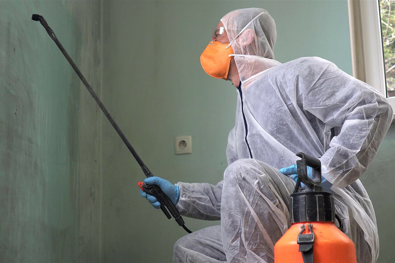 Professional in protective suit removing mold from home