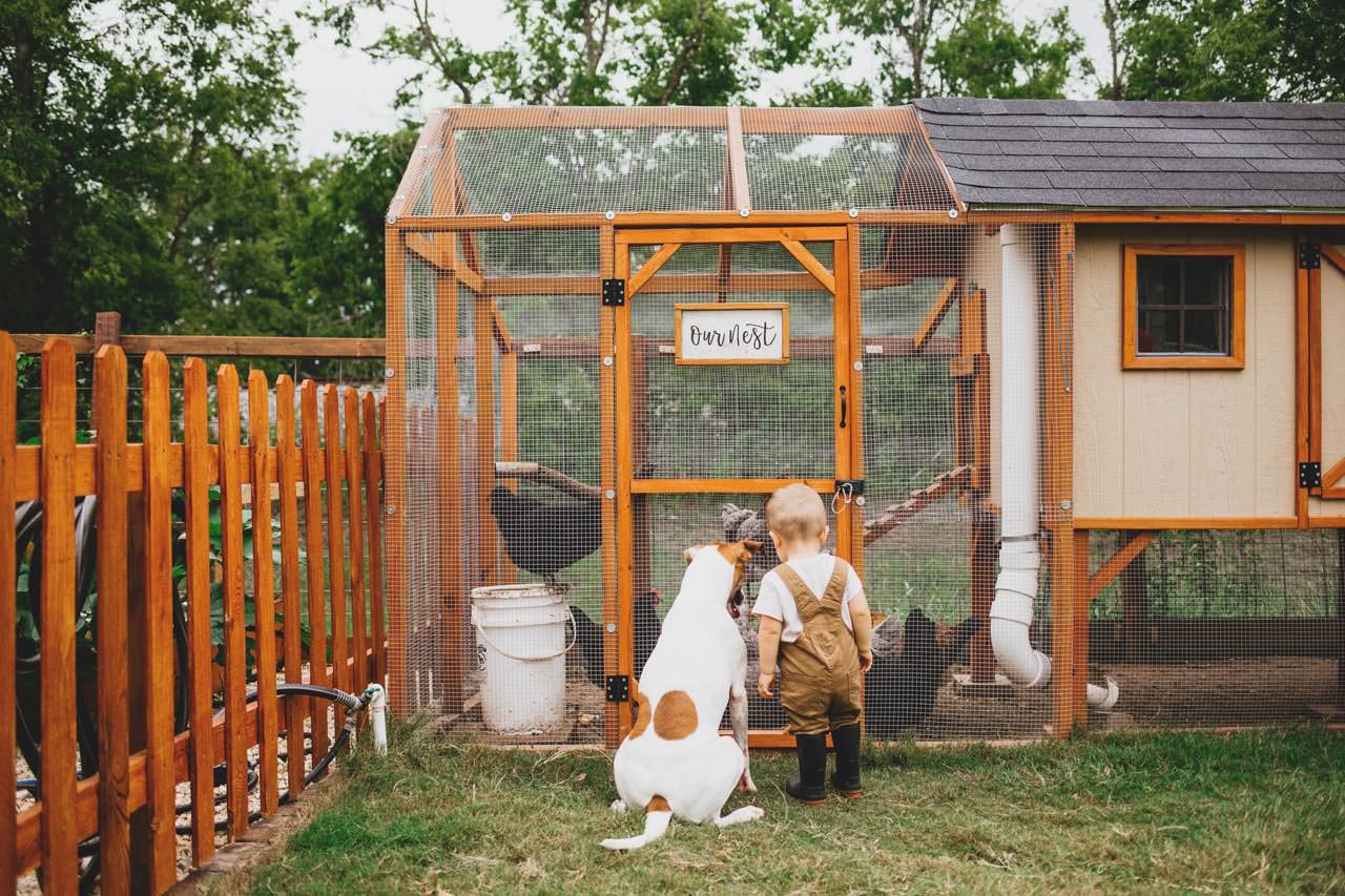 A toddler and dog looking at chicken coop
