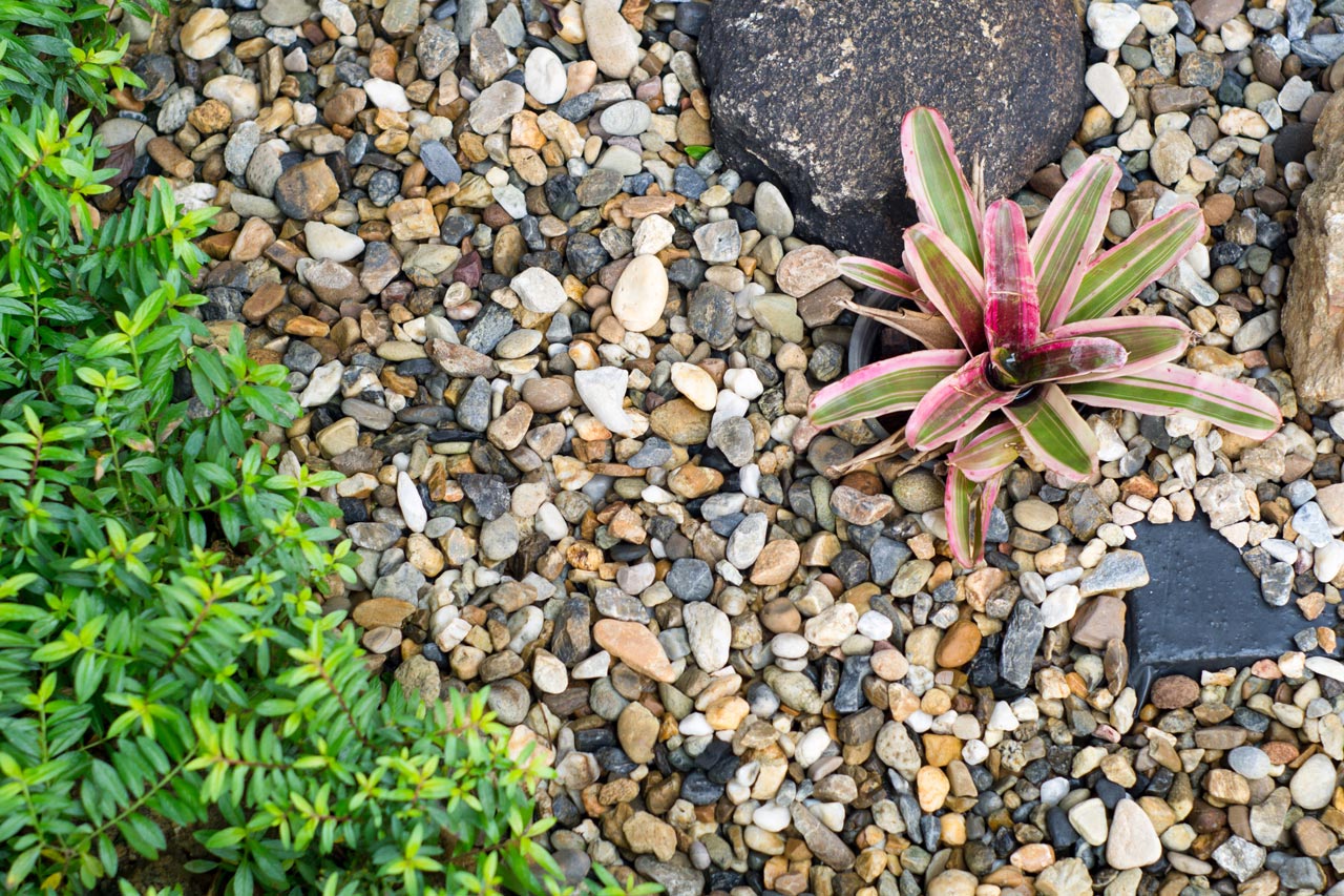 close up of pea gravel in a garden