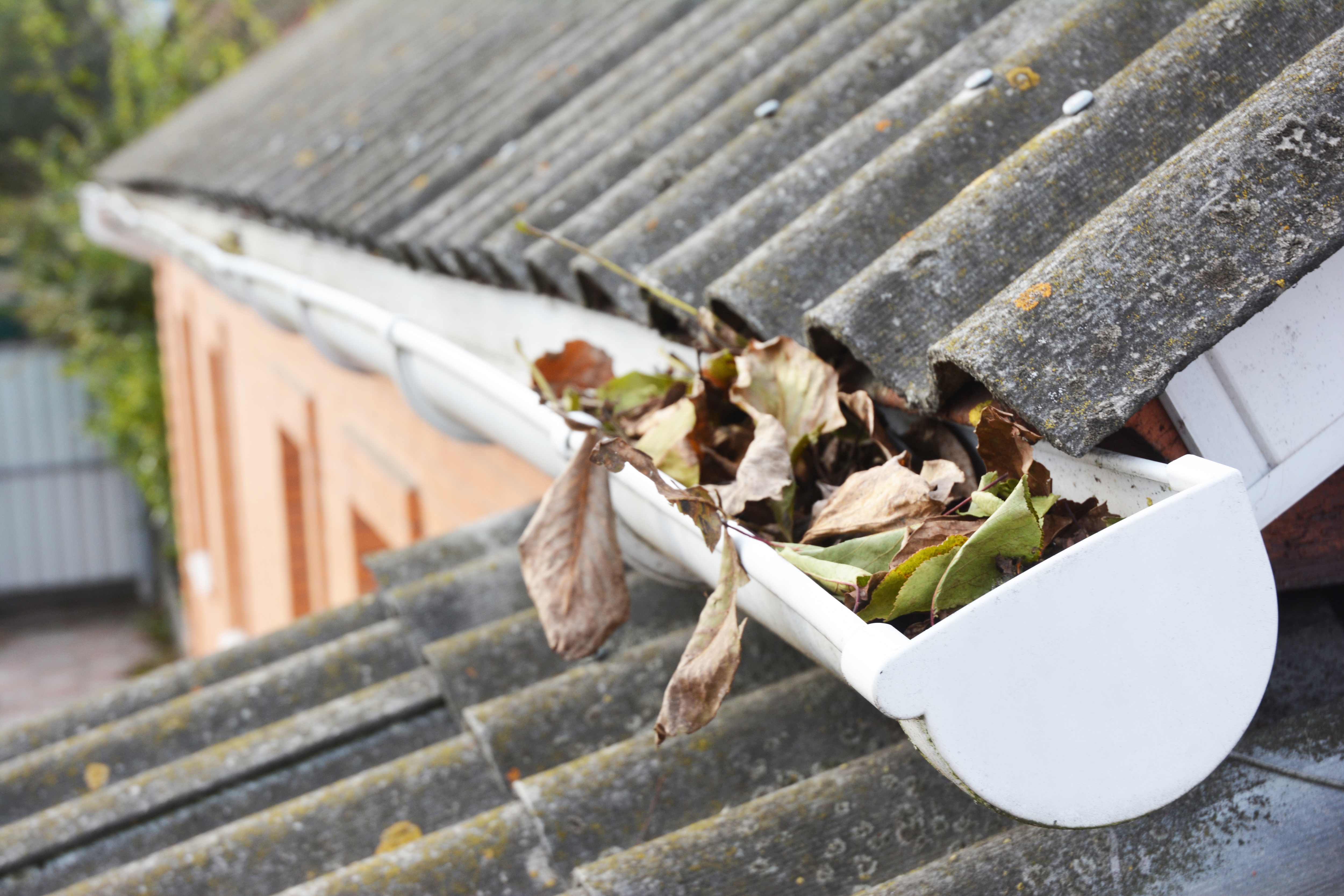 Close-up of roof gutters filled with fallen leaves, highlighting the need to clean gutters for effective drainage and maintenance