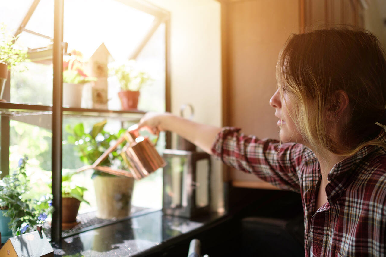 new garden window full of plants being watered by homeowner