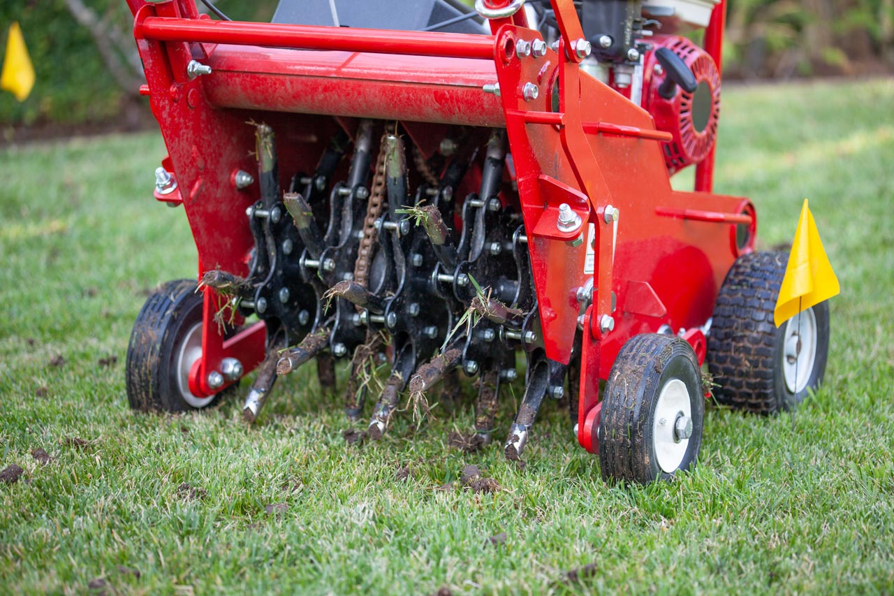 lawn aerator aerating the grass in a yard