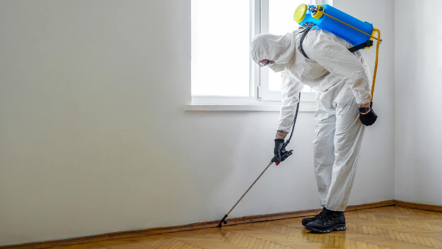 A pest control professional exterminating fleas