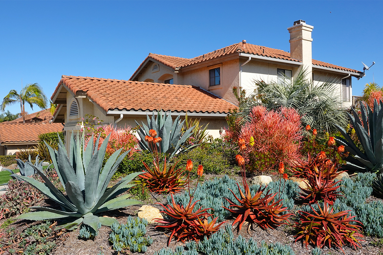Xeriscape landscaping in front of house