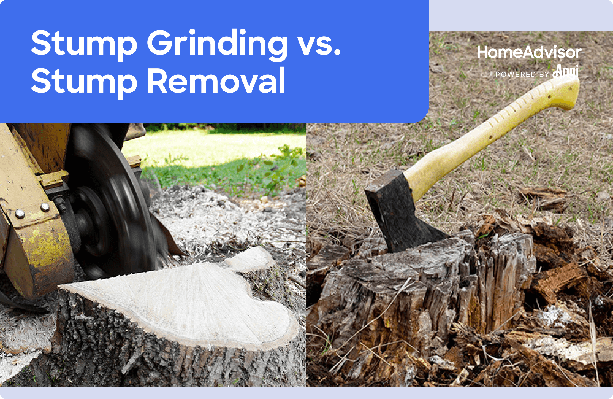 Stump grinding versus stump removal visual comparison